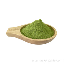 High Quality Organic Vegetable Kale Leaf Extract Powder